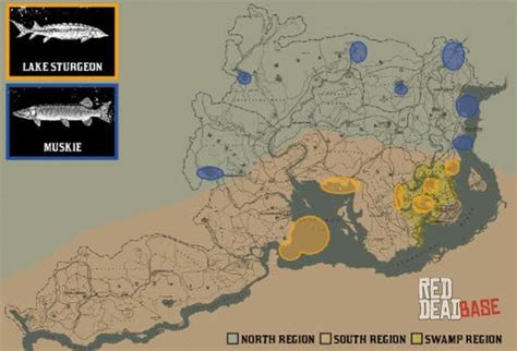 best fishing spots in rdr2 online|Where To Find Lake Sturgeon In Red Dead Online .
